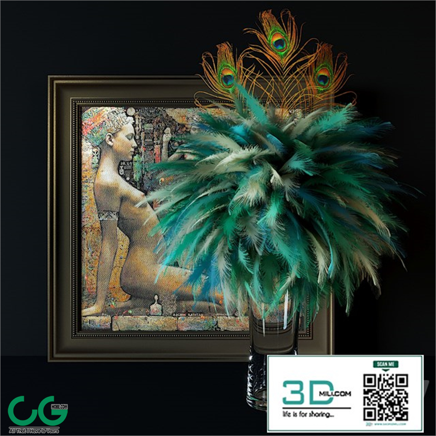 Plumage 29