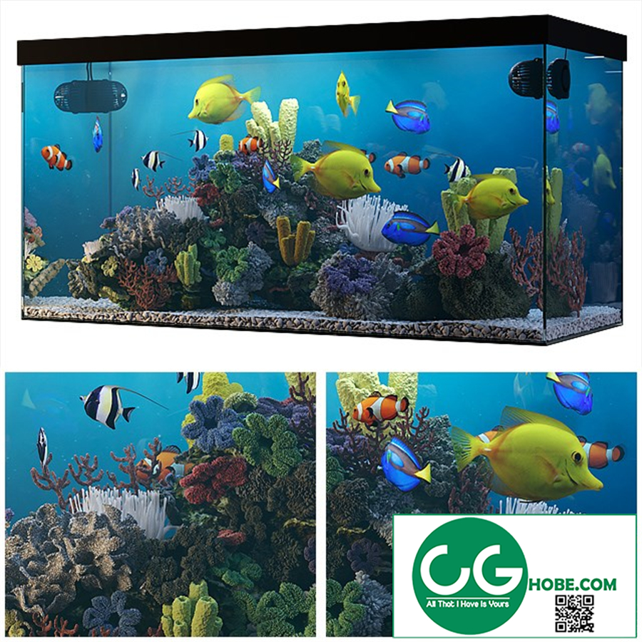 Seawater aquarium