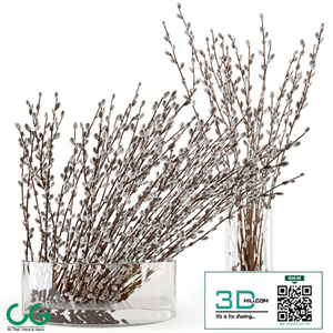 Branches in a vase 006