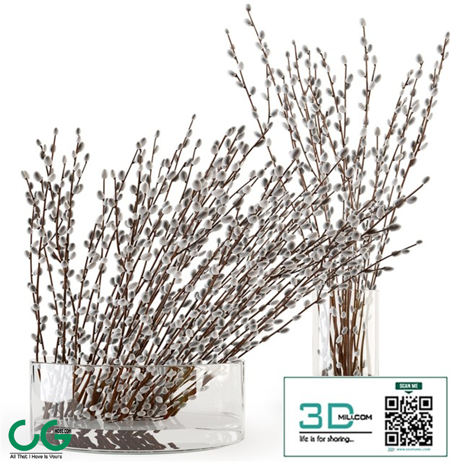 Branches in a vase 006