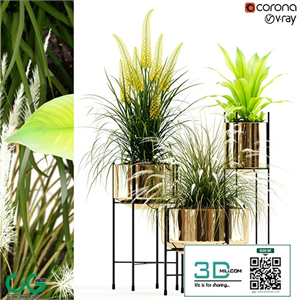 Plants collection 146 AGATA