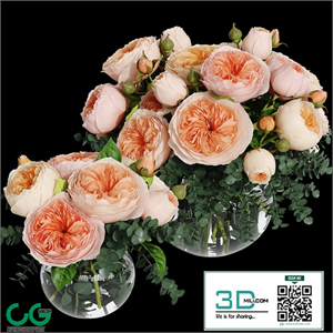 Rosa Juliet