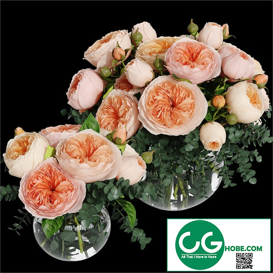 Rosa Juliet