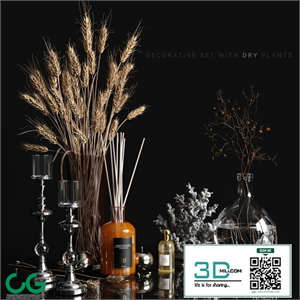 Decorative set with dry plants