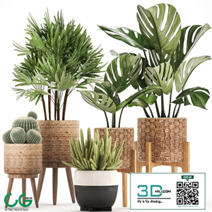 Plant collection 321