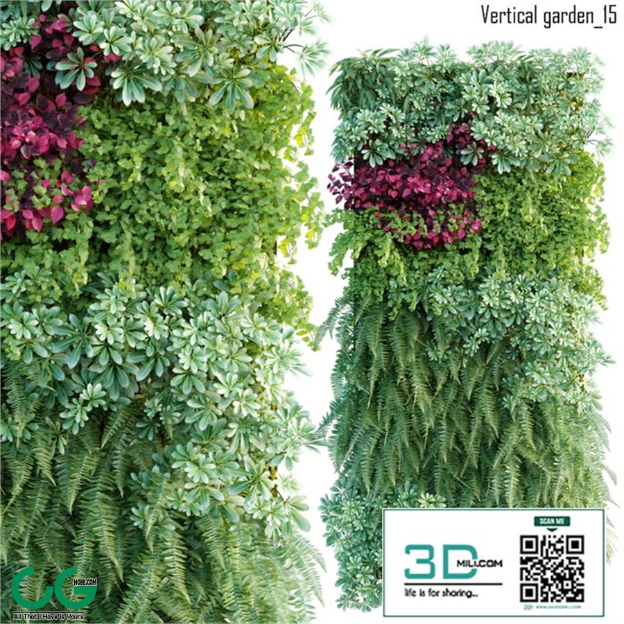 Vertical garden 15