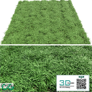 Green lawn