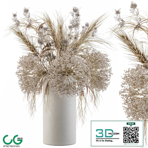 Dry Plants Set 08