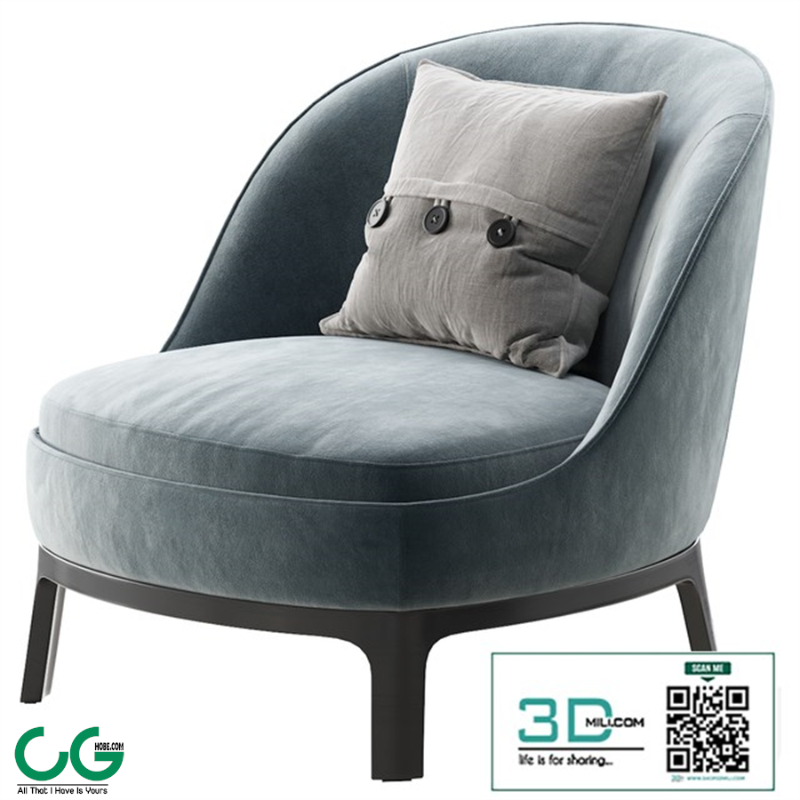 DRAGONFLY Armchair