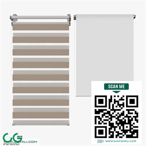 curtain 1 (2)