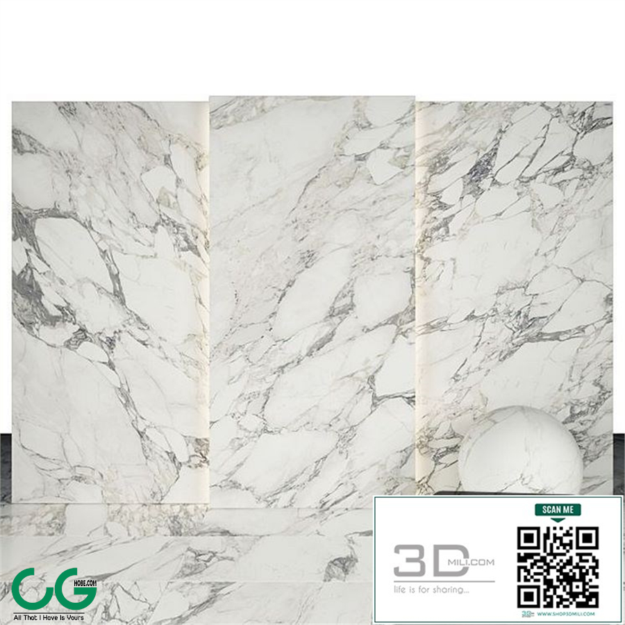 Classic Arabescato Marble 02