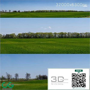 Panorama of a green field with flowers and trees. 32k