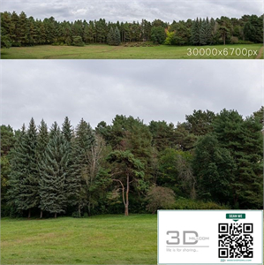 Autumn panorama with trees. 30k PRO $7 Royalty free