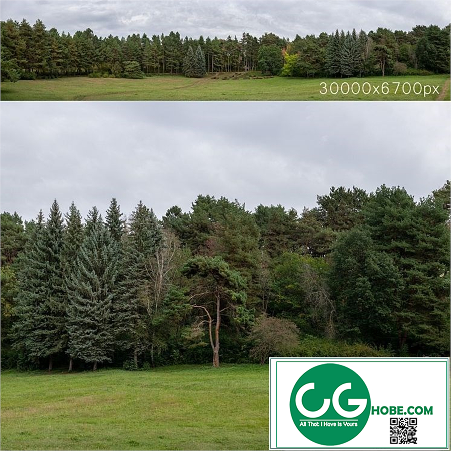 Autumn panorama with trees. 30k PRO $7 Royalty free