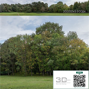 Autumn panorama with trees v2. 30k