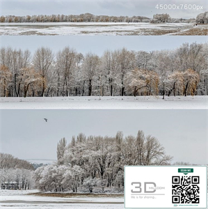 Panorama of the park with a lake and snow-covered trees. 45k