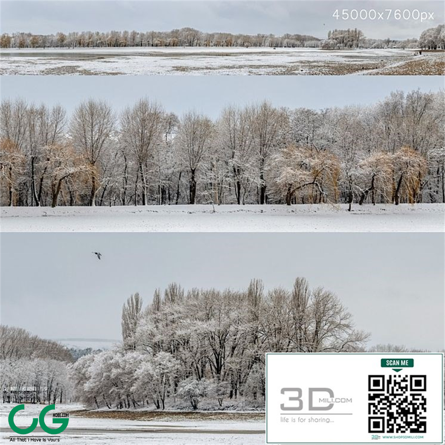 Panorama of the park with a lake and snow-covered trees. 45k