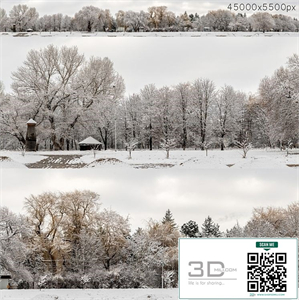 Panorama of the park and snow-covered trees. 45k