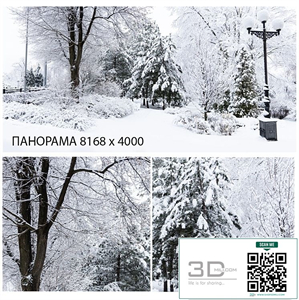 Winter background