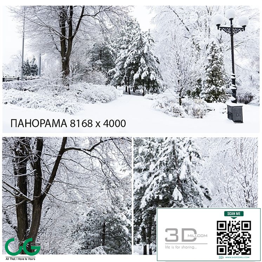 Winter background