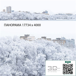 Winter panorama