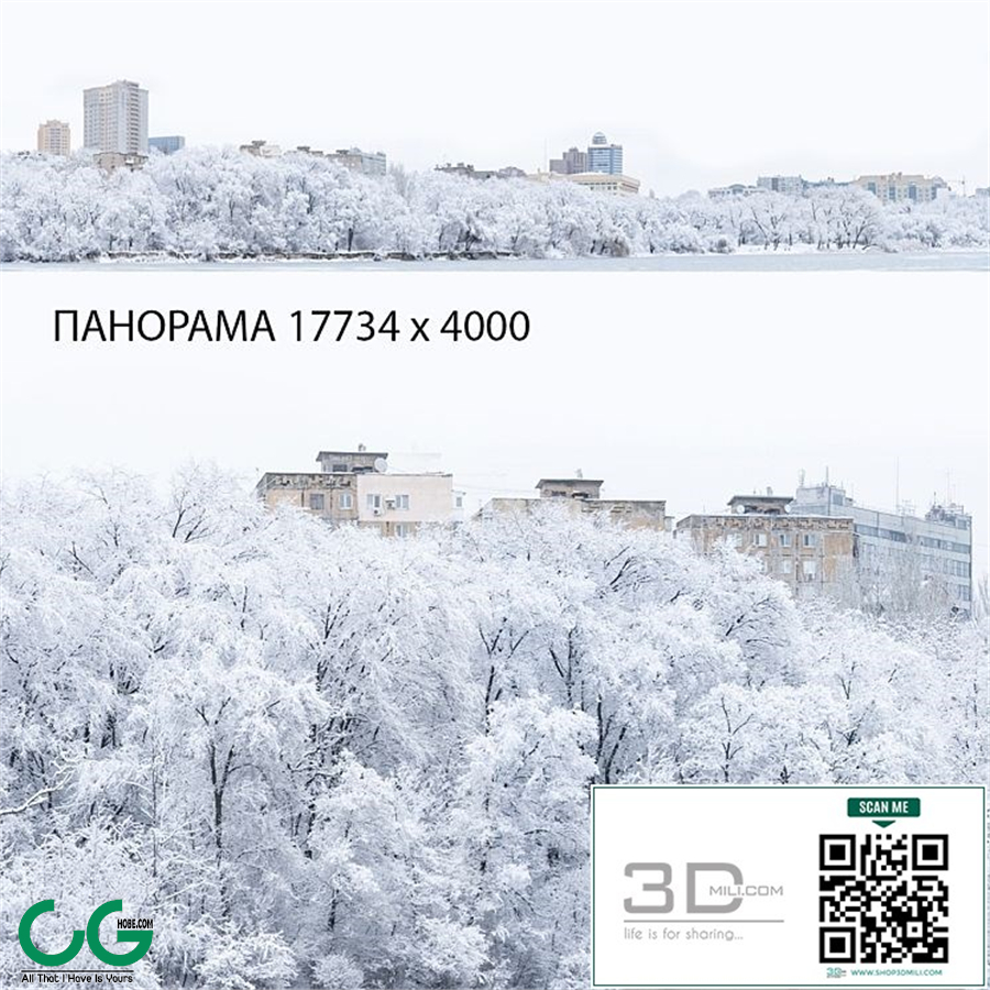 Winter panorama