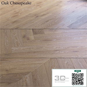 Oak Chesapeake