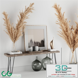 Decoration Set 01 pampas & Console