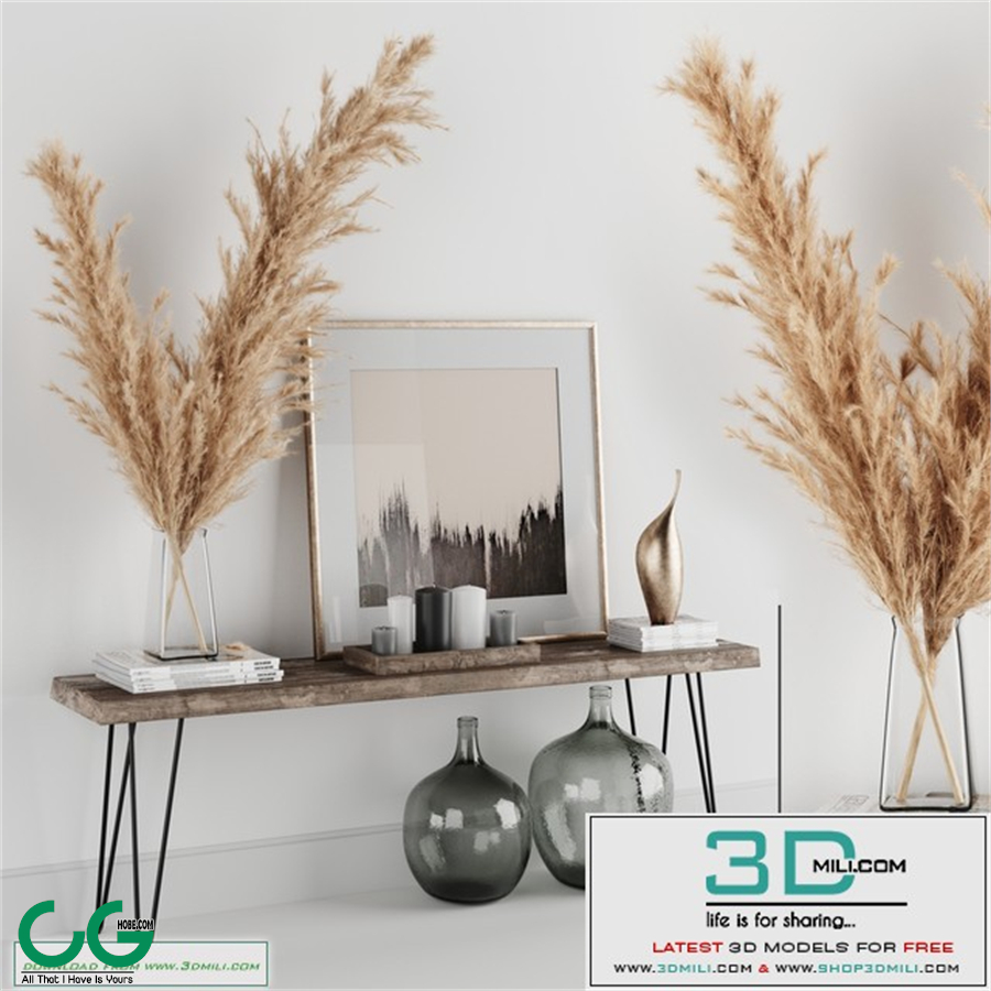 Decoration Set 01 pampas & Console
