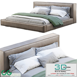Queen Loft Leather Bed 2