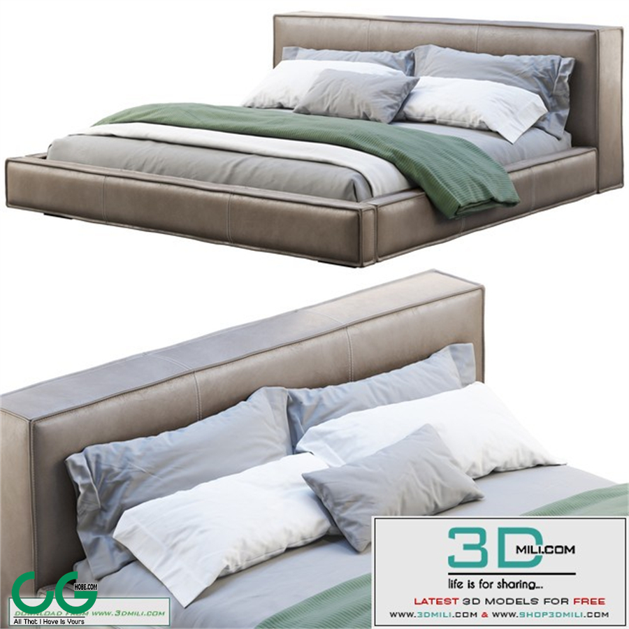 Queen Loft Leather Bed 2