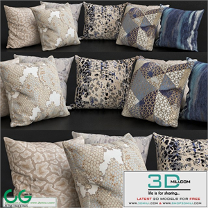 Pillows for sofa Premium PRO No. 19