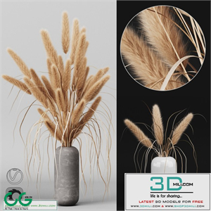 A bunch of Pampas 2