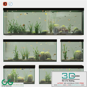 Aquarium set