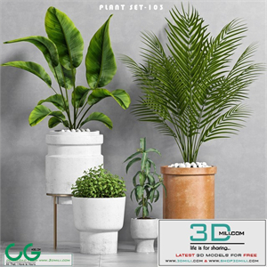 PLANT SET -103