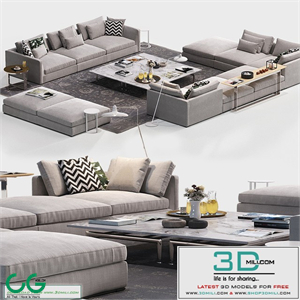 B & B Italia Richard sofa