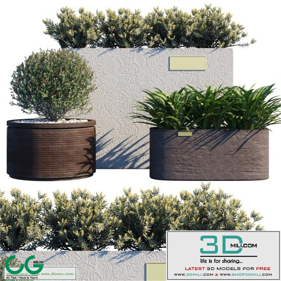 Outdoor set 15