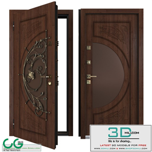 Entrance metal door of the Tower 10 (Your Frame)
