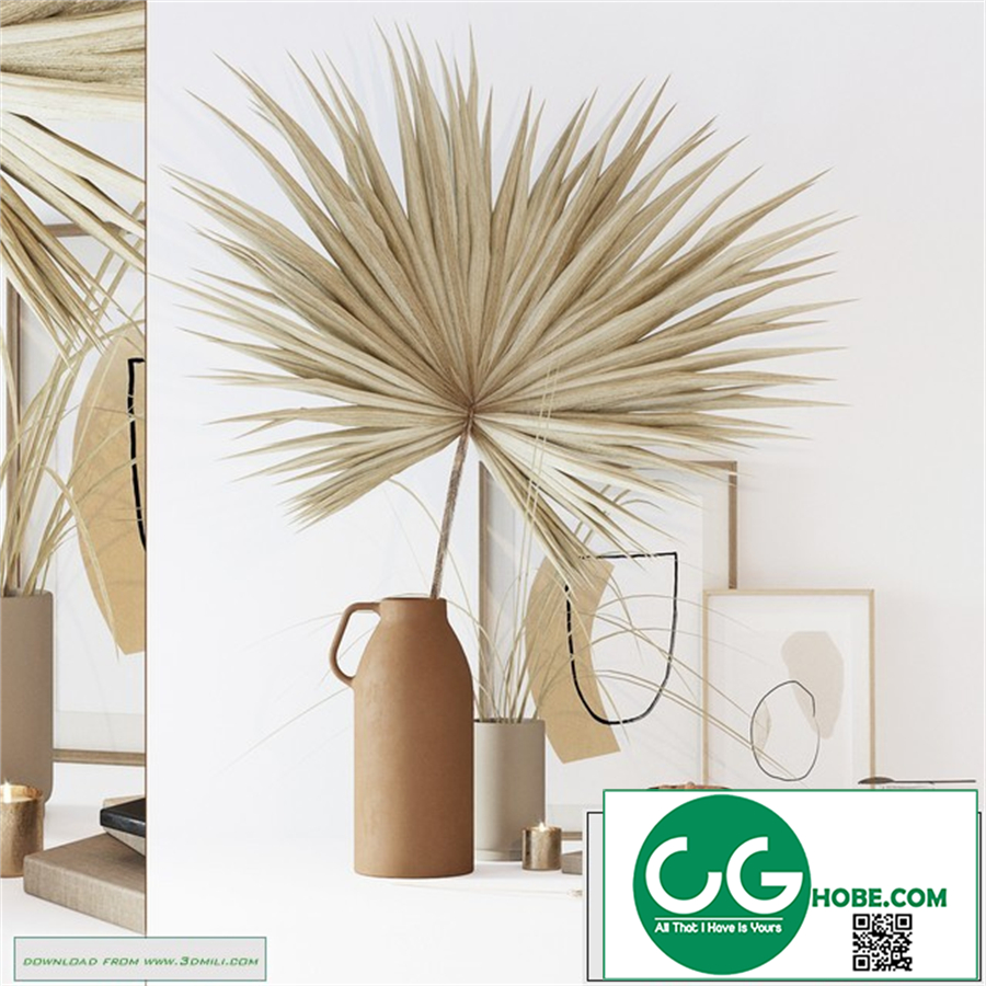 Decorative set with dryed palm