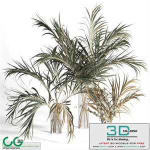 Dry palm leaves in vases