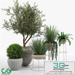 CB2 Set