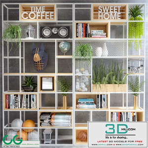 Jc Display Shelf