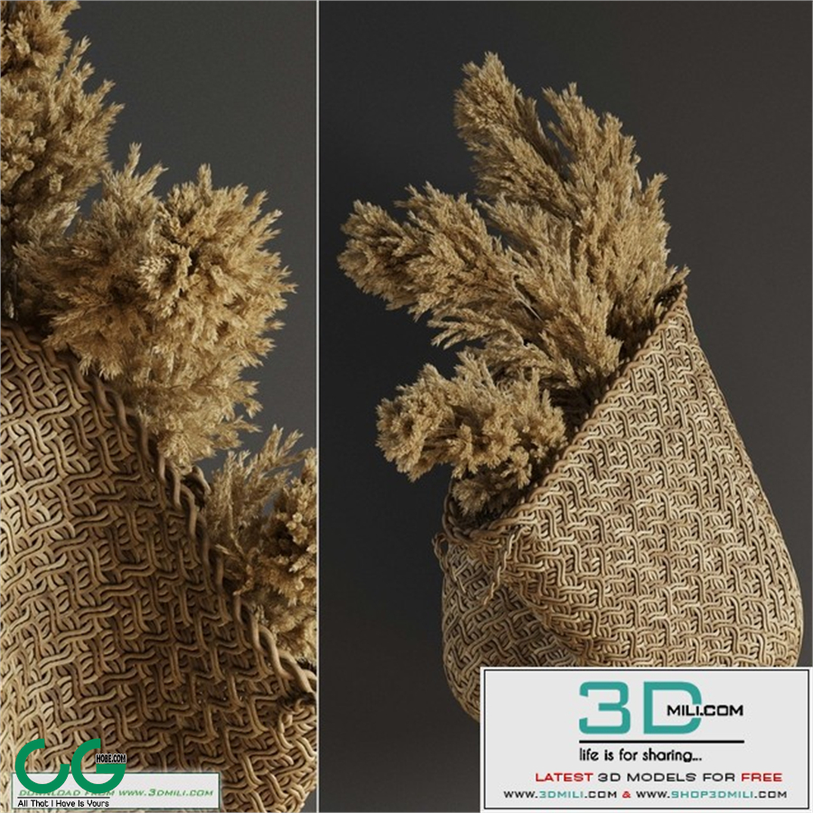 Pampas flower in hand basket
