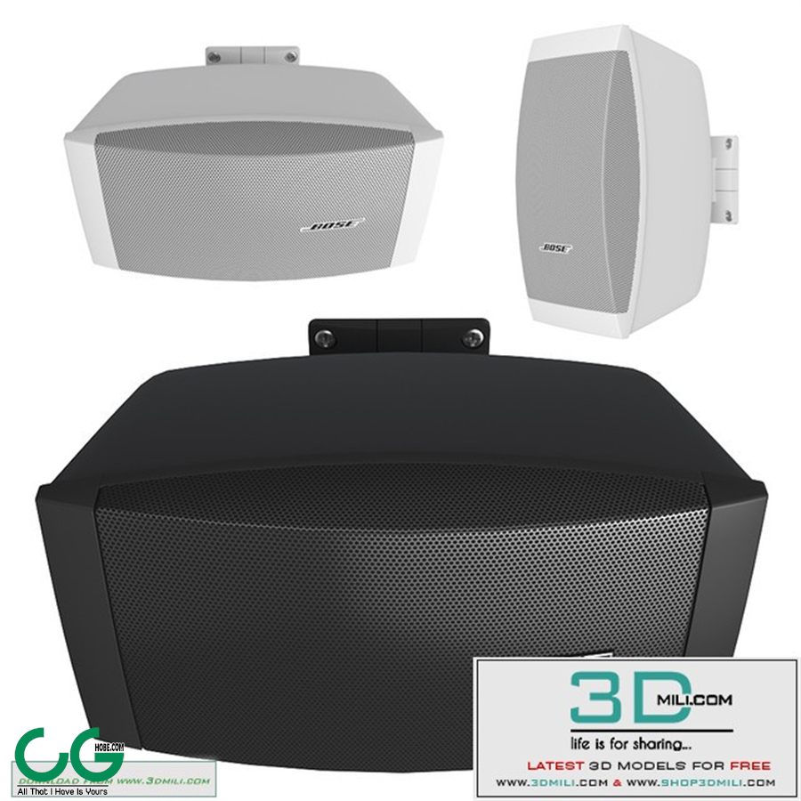 Bose FreeSpace DS40SE