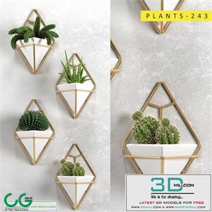 Plants 243
