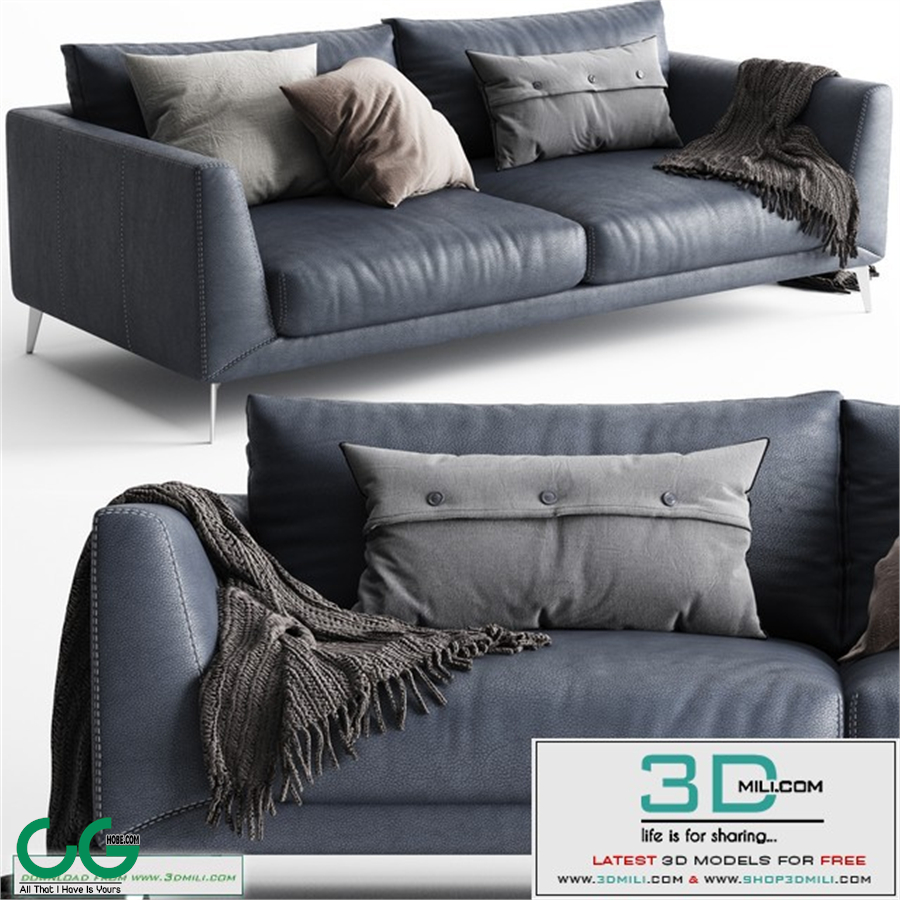 BoConcept Fargo Sofa 2 Seats