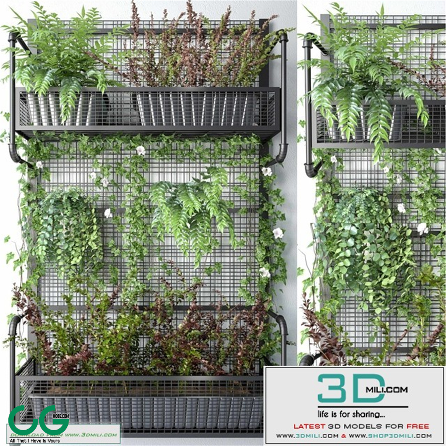 JC Wall Grid Plant Pot 5