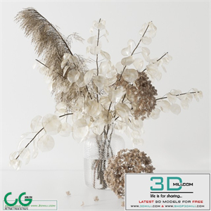 Bouquet with lunaria, pampas grass and hydragea