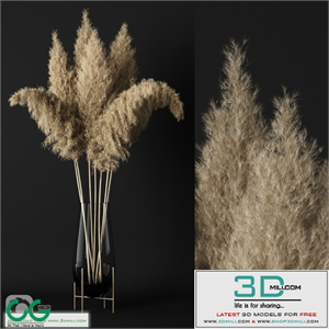 A bunch of pampas