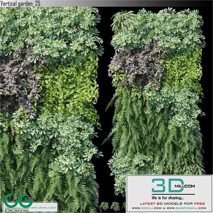 Vertical garden_25